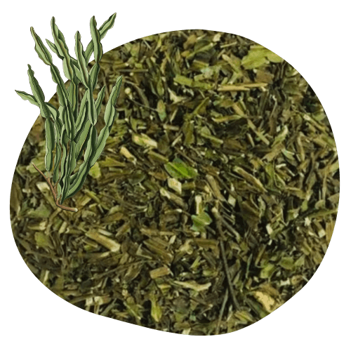 carqueja