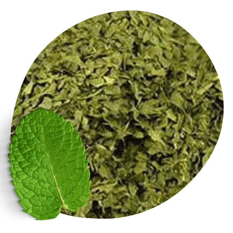 hortela
